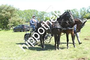 2025-04-27:  bei Fahren Gelände in Blievenstorf
