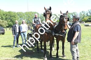 2025-04-27:  bei Fahren Gelände in Blievenstorf
