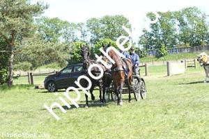 2025-04-27:  bei Fahren Gelände in Blievenstorf