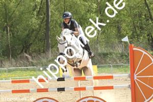 2025-05-01: Cher  bei Reitturnier in Spoitgendorf