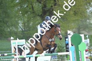 2025-05-01: Calimbo  bei Reitturnier in Spoitgendorf