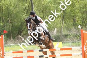 2025-05-01: Julchens Juvento  bei Reitturnier in Spoitgendorf