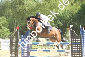 2025-05-01: Miss Balou ZH  bei Reitturnier in Spoitgendorf
