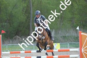 2025-05-01: Calimbo  bei Reitturnier in Spoitgendorf