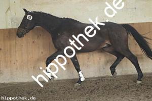 2025-05-08: Monsum  bei Leistungsprüfung in Ganschow