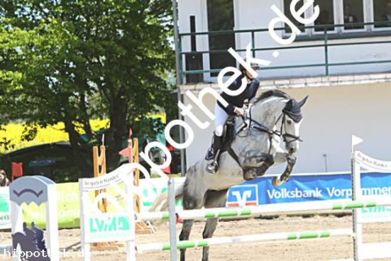 Turnier (SS1*) in Trent/Zubzow