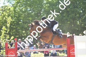 2025-05-11: Celouisia II  bei Reitturnier in Trent