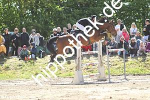 2025-05-11: Celouisia II  bei Reitturnier in Trent