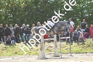 2025-05-11: Prosecco van Heiste  bei Reitturnier in Trent