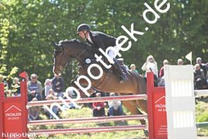 2025-05-11: Comtess Valentina  bei Reitturnier in Trent