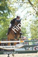 2025-05-11: Dornbub  bei Reitturnier in Trent