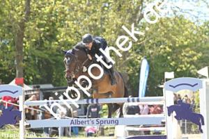 2025-05-11: Hopitu  bei Reitturnier in Trent