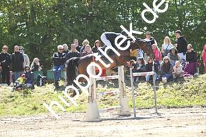 2025-05-11: Hopitu  bei Reitturnier in Trent
