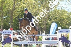 2025-05-11: Comme Credo  bei Reitturnier in Trent