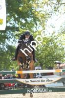 2025-05-11: Hopitu  bei Reitturnier in Trent