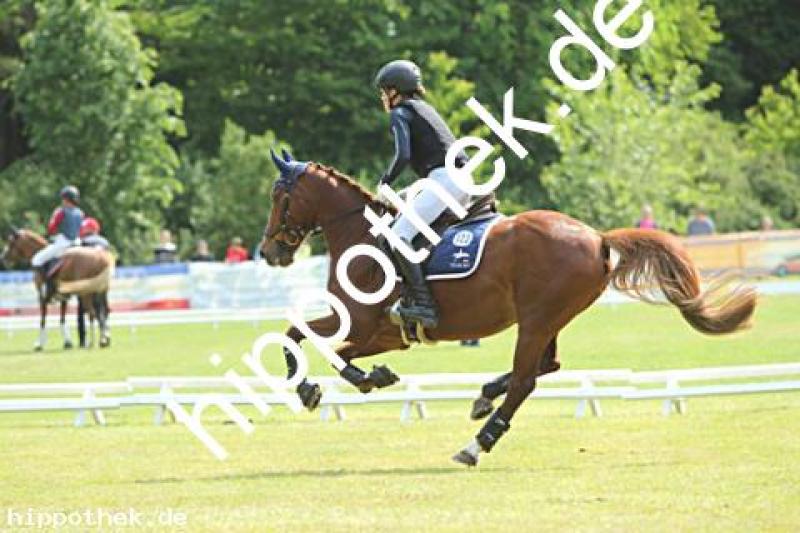 Vielseitigkeitsturnier (Goldene Schärpe Pony) in Hohen Luckow