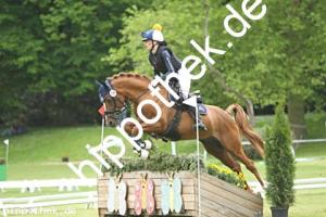 2025-05-31: Winchester B  bei Gelände Pony in Hohen Luckow