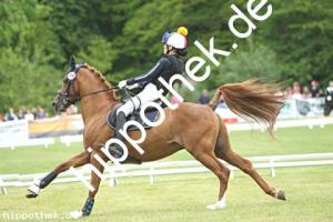 2025-05-31: Winchester B  bei Gelände Pony in Hohen Luckow
