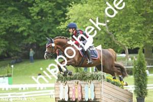 2025-05-31: Nelson's Diamont  bei Gelände Pony in Hohen Luckow