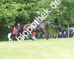 2025-05-31: Vanadis JR  bei Gelände Pony in Hohen Luckow