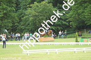 2025-05-31: Winchester B  bei Gelände Pony in Hohen Luckow