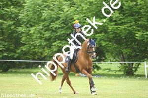 2025-05-31: Winchester B  bei Gelände Pony in Hohen Luckow
