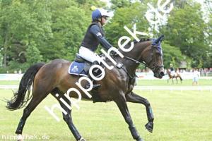 2025-05-31: Vanadis JR  bei Gelände Pony in Hohen Luckow