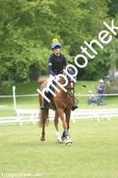 2025-05-31: Winchester B  bei Gelände Pony in Hohen Luckow