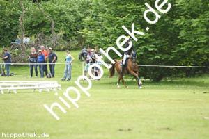2025-05-31: Winchester B  bei Gelände Pony in Hohen Luckow
