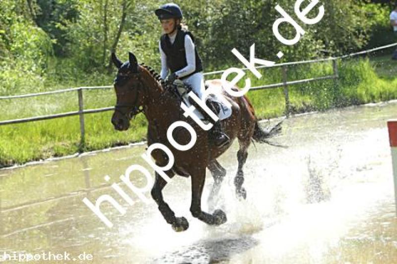 Foto 226335