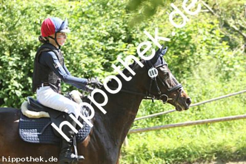 Foto 226362
