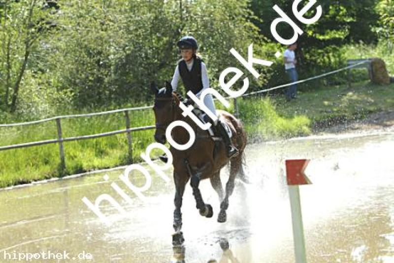 Foto 226371
