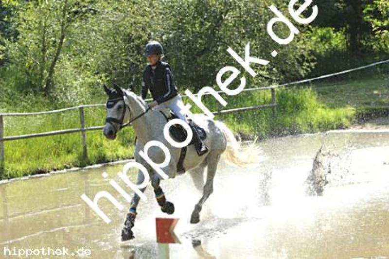 Foto 226378