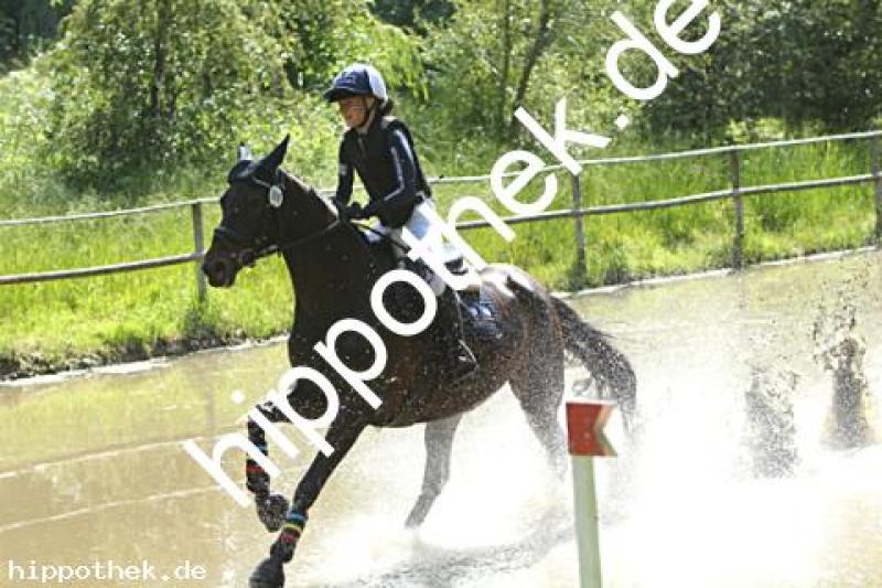 Foto 226387