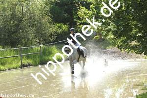 2025-06-14: C'est la vie  bei Gelände Pferde in Hohen Luckow
