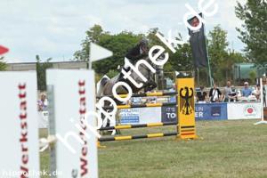 2025-07-06: Cody  bei Reitturnier in Dersekow