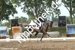 2025-07-20: Falegro  bei Dressurturnier in Blowatz