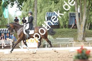 2025-07-20: Falegro  bei Dressurturnier in Blowatz