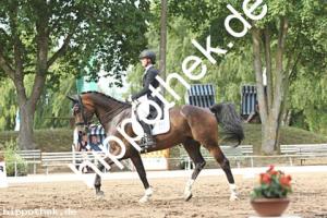 2025-07-20: Falegro  bei Dressurturnier in Blowatz