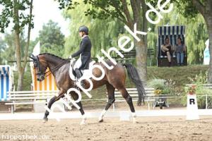 2025-07-20: Falegro  bei Dressurturnier in Blowatz