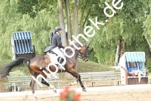 2025-07-20: Falegro  bei Dressurturnier in Blowatz