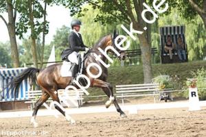 2025-07-20: Falegro  bei Dressurturnier in Blowatz
