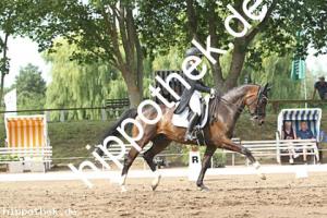 2025-07-20: Falegro  bei Dressurturnier in Blowatz