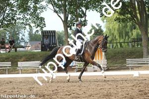 2025-07-20: Falegro  bei Dressurturnier in Blowatz