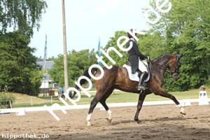 2025-07-20: Falegro  bei Dressurturnier in Blowatz