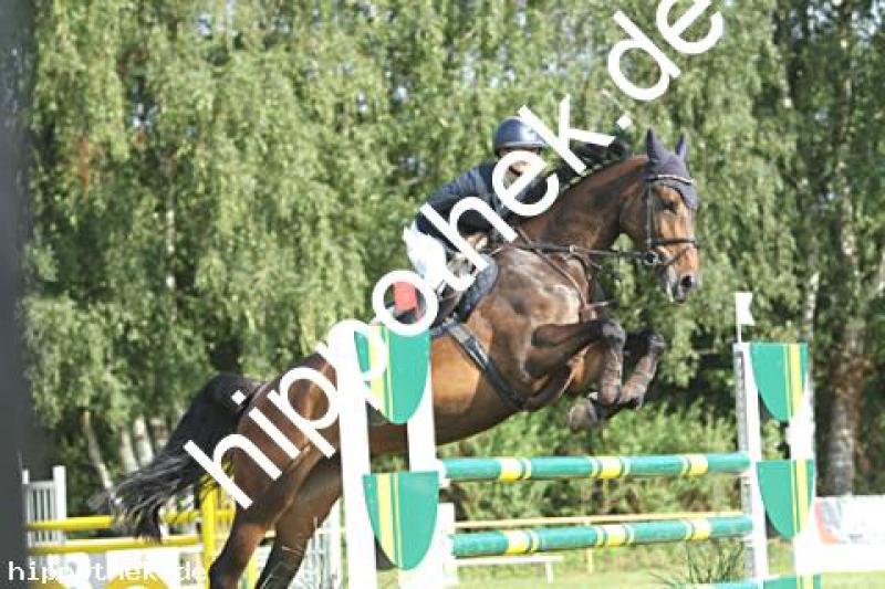 Trnier (SS1*) in Blowatz