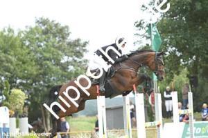 2025-07-27: Silberpfeil M  bei Reitturnier in Blowatz