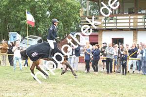2025-07-27:  bei Reitturnier in Blowatz