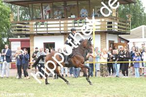 2025-07-27:  bei Reitturnier in Blowatz