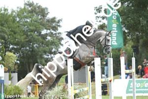 2025-07-27: Cody  bei Reitturnier in Blowatz